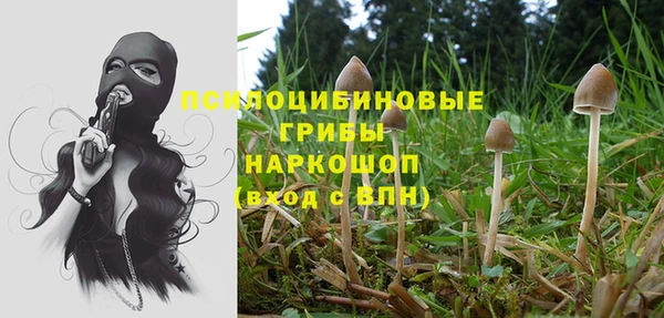марки lsd Белоозёрский