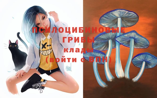 бутират Белокуриха