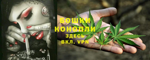 бутират Белокуриха